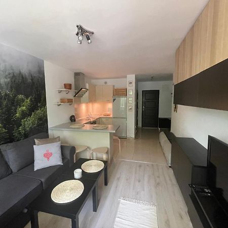 Kasprusie 10 By Homeprime Zakopane Bagian luar foto