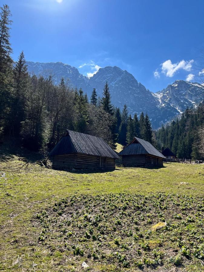 Kasprusie 10 By Homeprime Zakopane Bagian luar foto